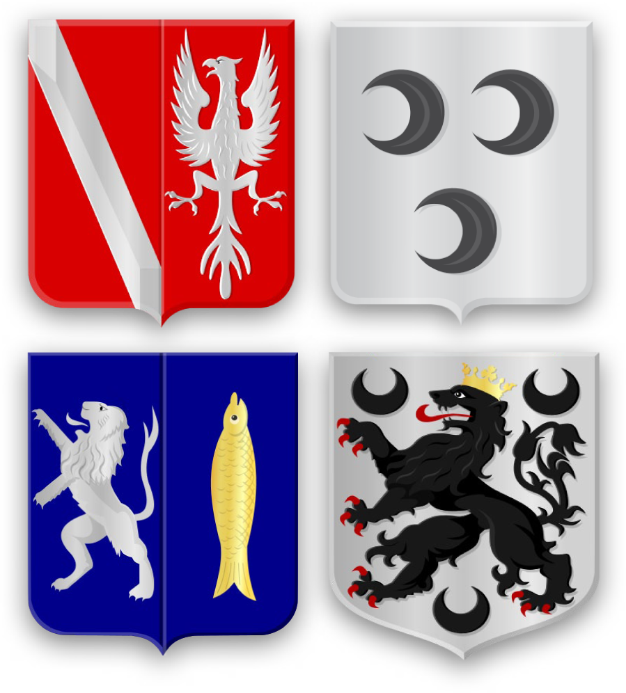 Historische Vereniging Bergambacht